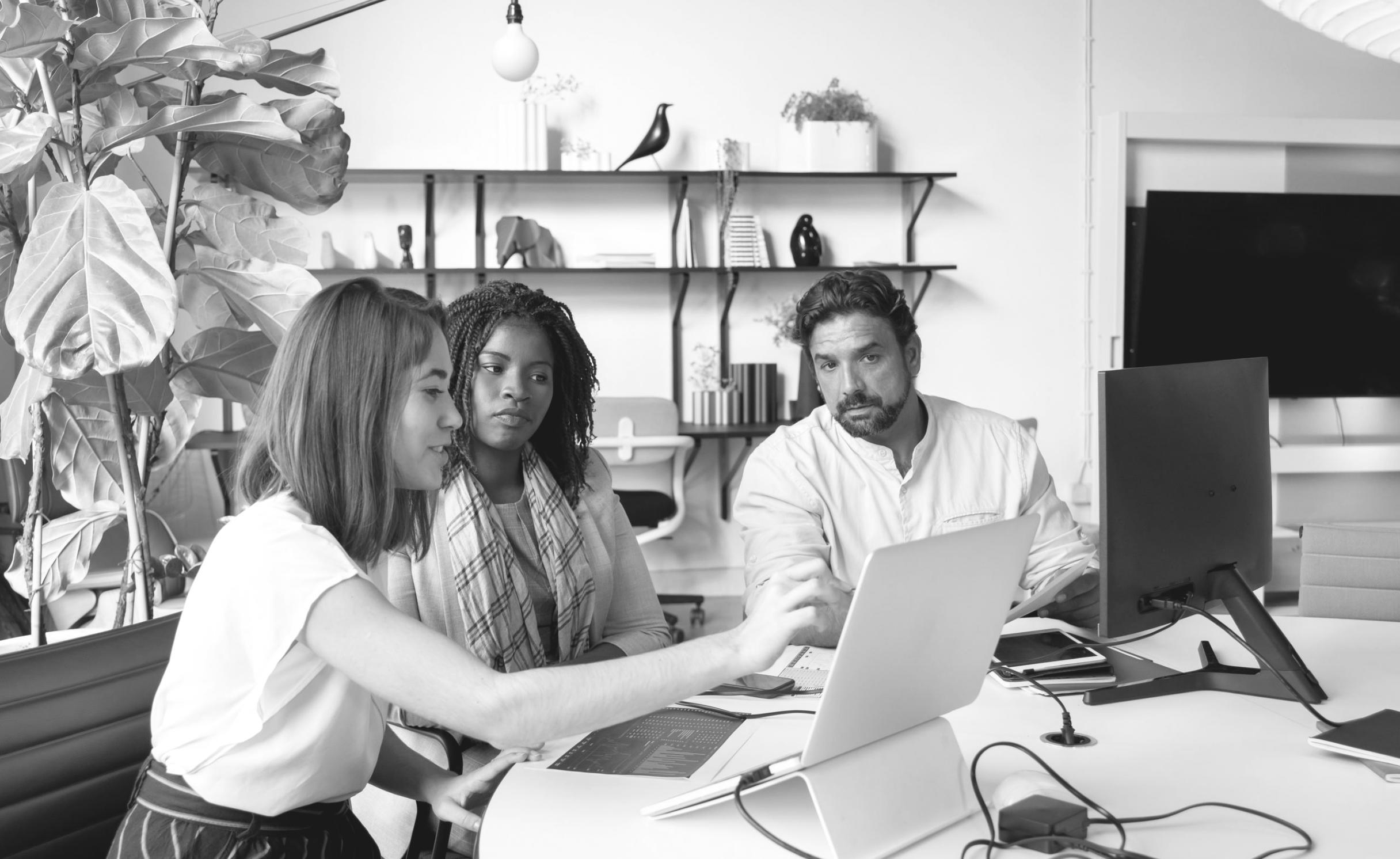 financnipolstares online webinar platform for budgetpræsentation